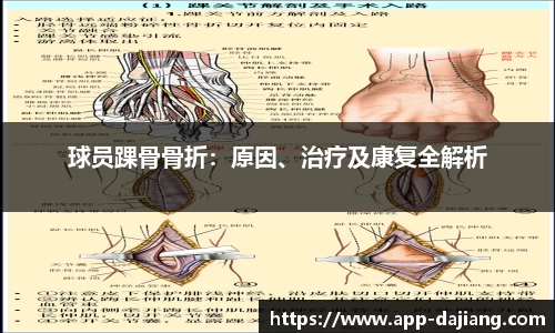 大江体育官网