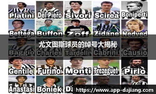 大江体育APP